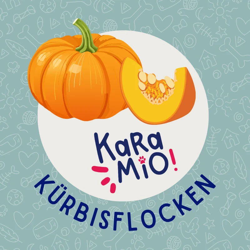 Karamio Kürbisflocken 1kg