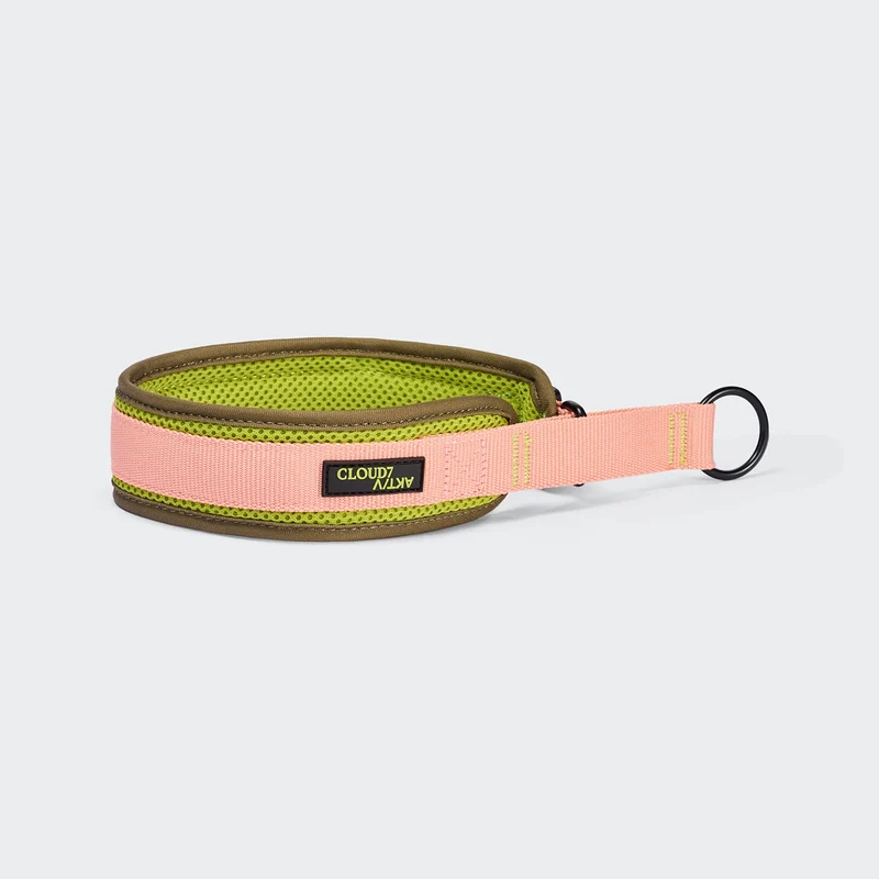 C-1 Zugstopp Halsband AKTIV Softshell Neon Green/Peach