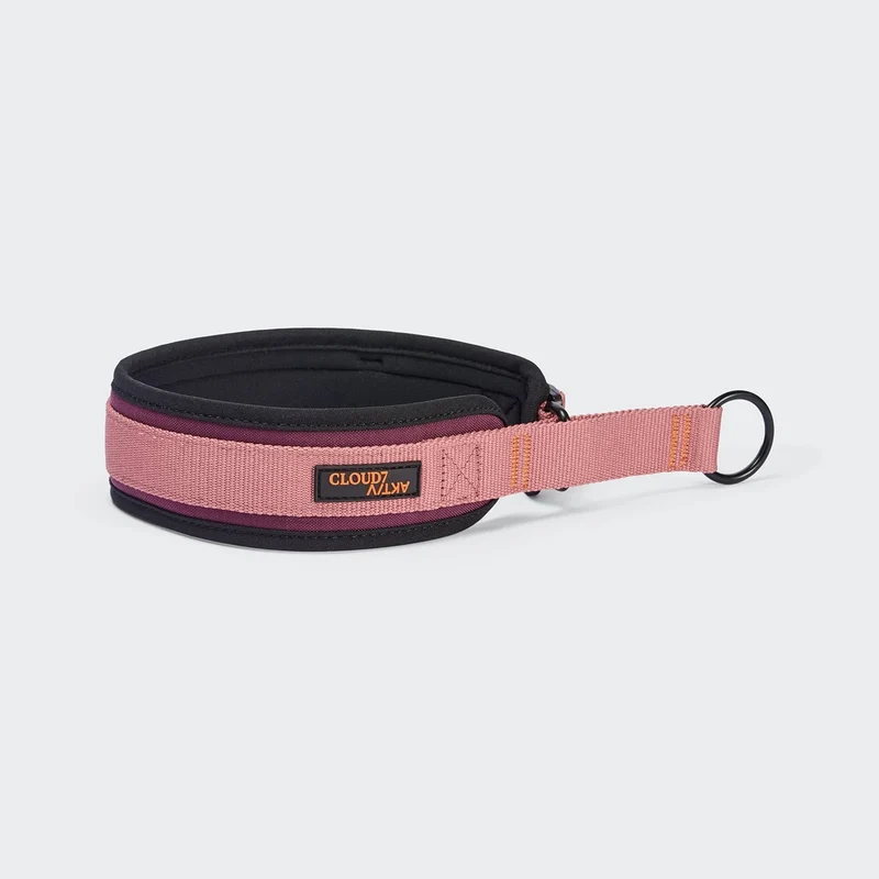 C-1 Zugstopp Halsband AKTIV Softshell Aubergine/Soft Rose