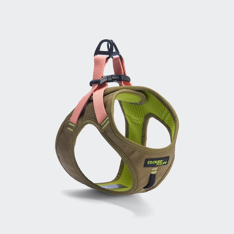 V-2 Westengeschirr AKTIV Cordura Khaki/Peach