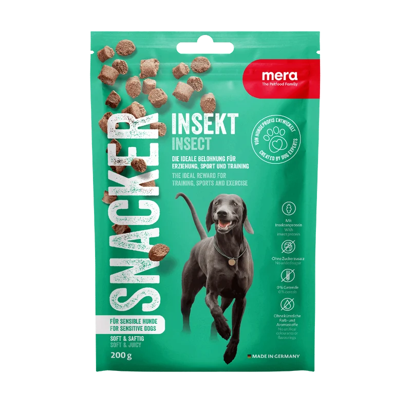 Snacker Insekt