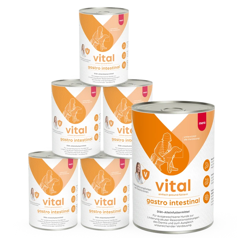 gastro intestinal Hund Nassfutter