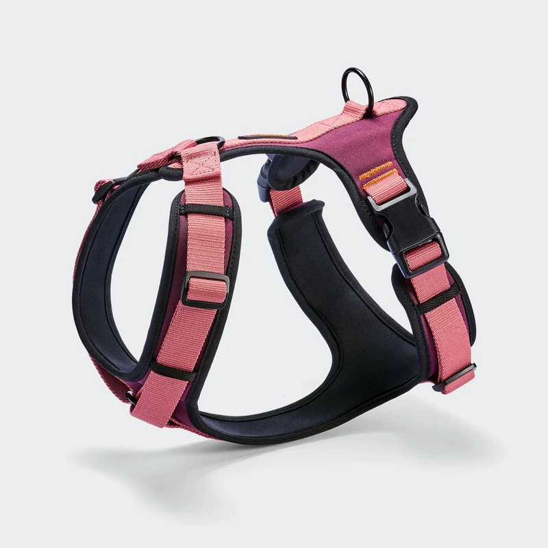 Y-3 Hundegeschirr AKTIV Softshell Aubergine/Soft Rose