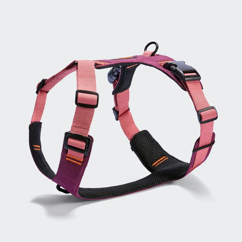 Y-2 Hundegeschirr AKTIV Cordura Aubergine/Soft Rose