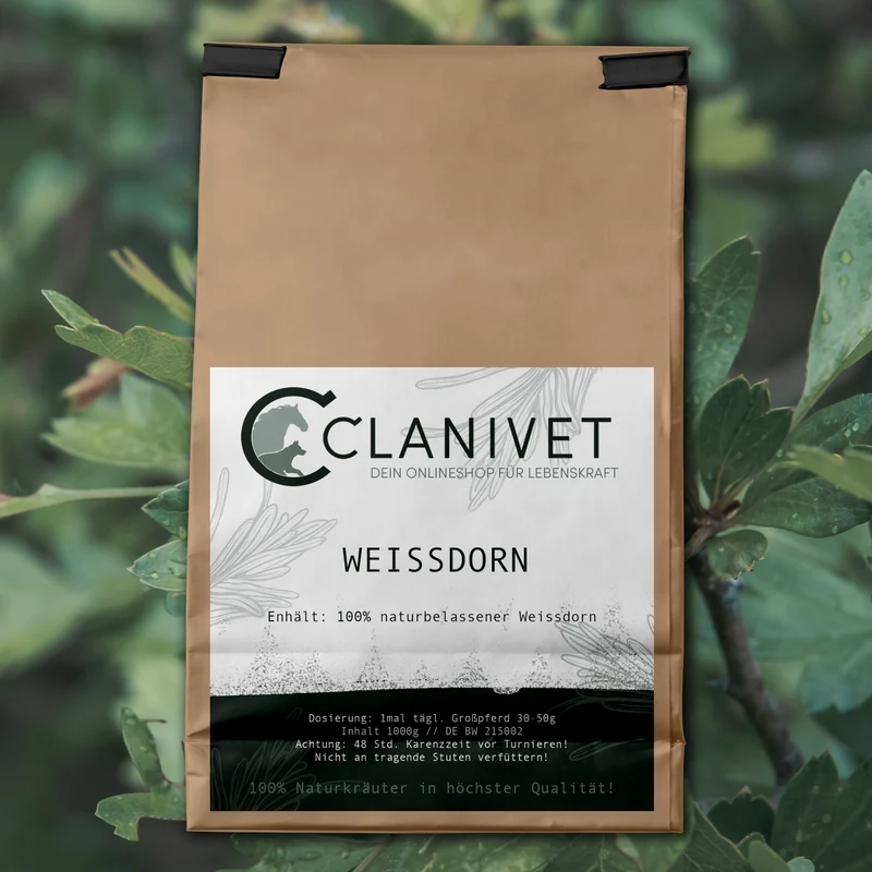 Clanivet Weissdorn