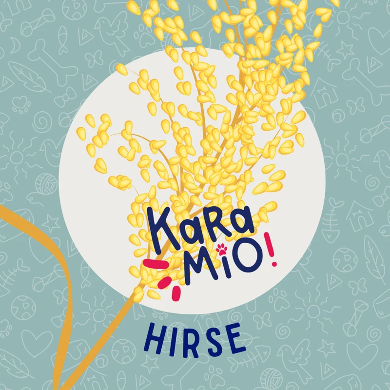 Karamio Hirse gepoppt