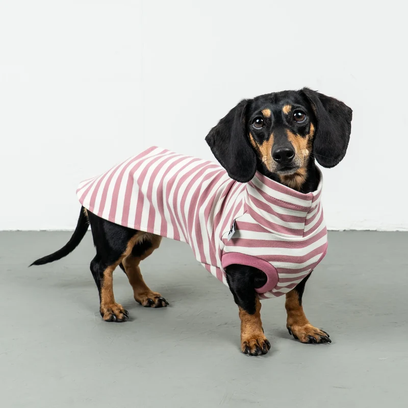 Cotton Shirt für Dackel Pink Stripes