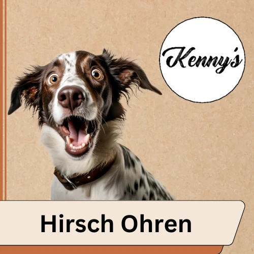 Hirschohren