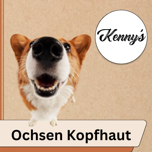 Ochsenkopfhaut