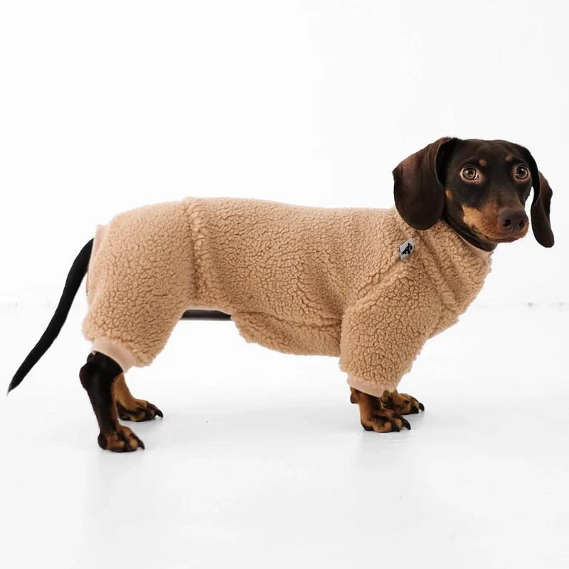 TEDDY Overall für Dackel Sand Beige