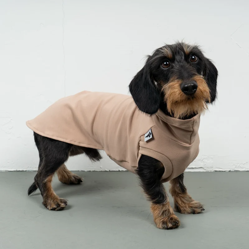 Cotton Shirt für Dackel Puder Beige