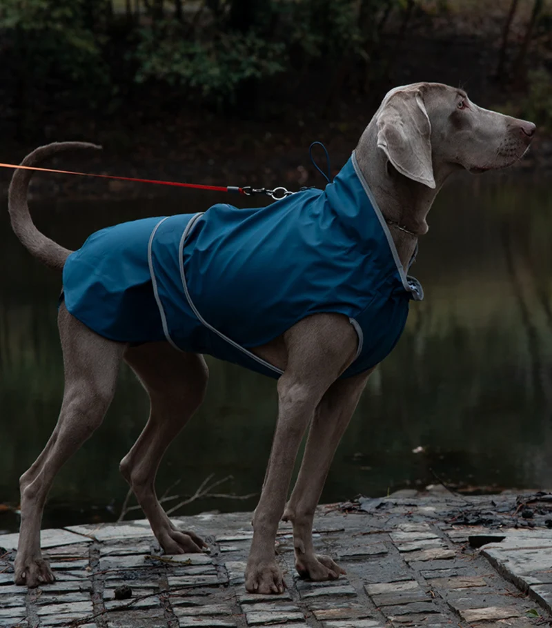 Blue Waterproof Reflective Raincoat for Dogs – Small to Large