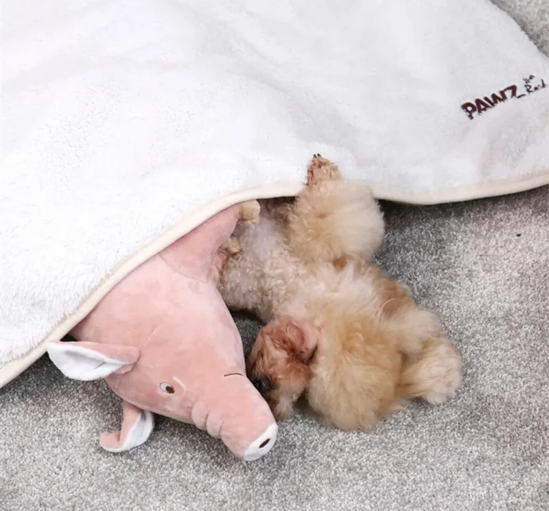 Piggy Paws Dog Toy