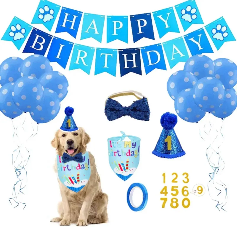 Dog birthday party set - Blue