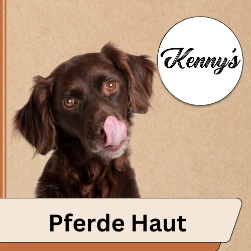 Pferdehaut