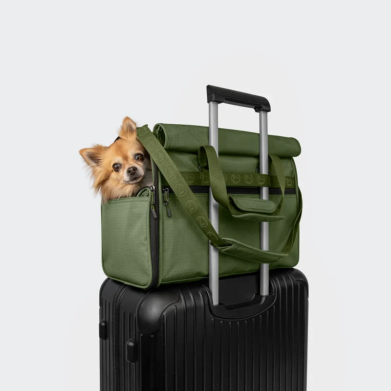 Hundeflugtasche AKTIV Olive