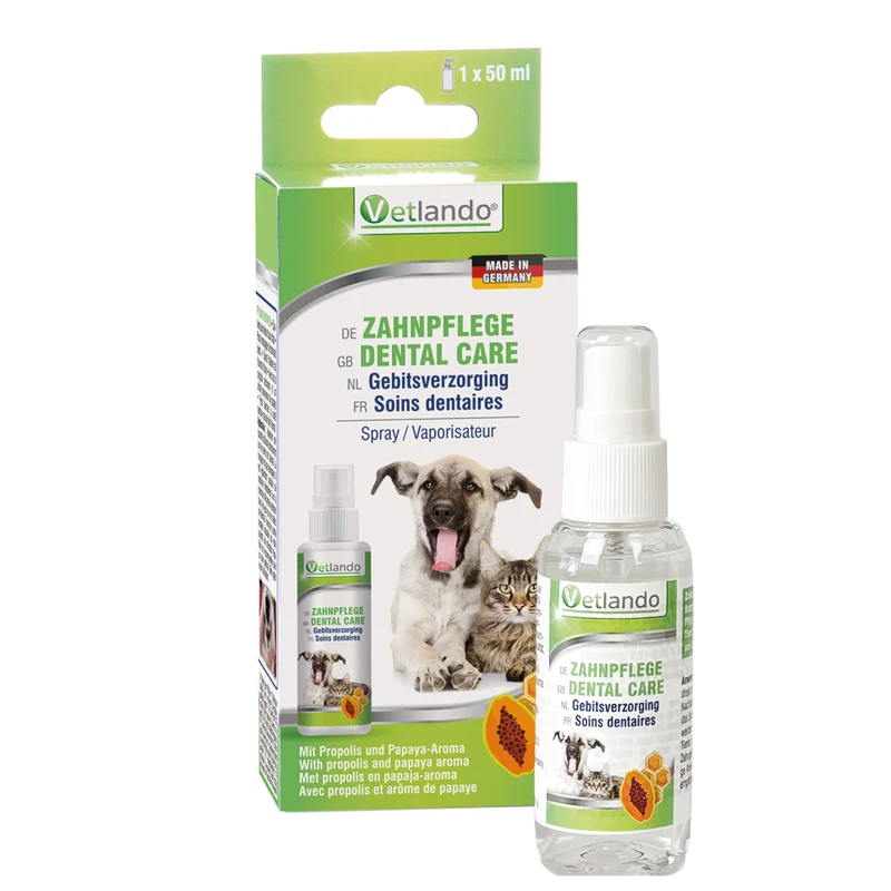Zahnpflege-Spray