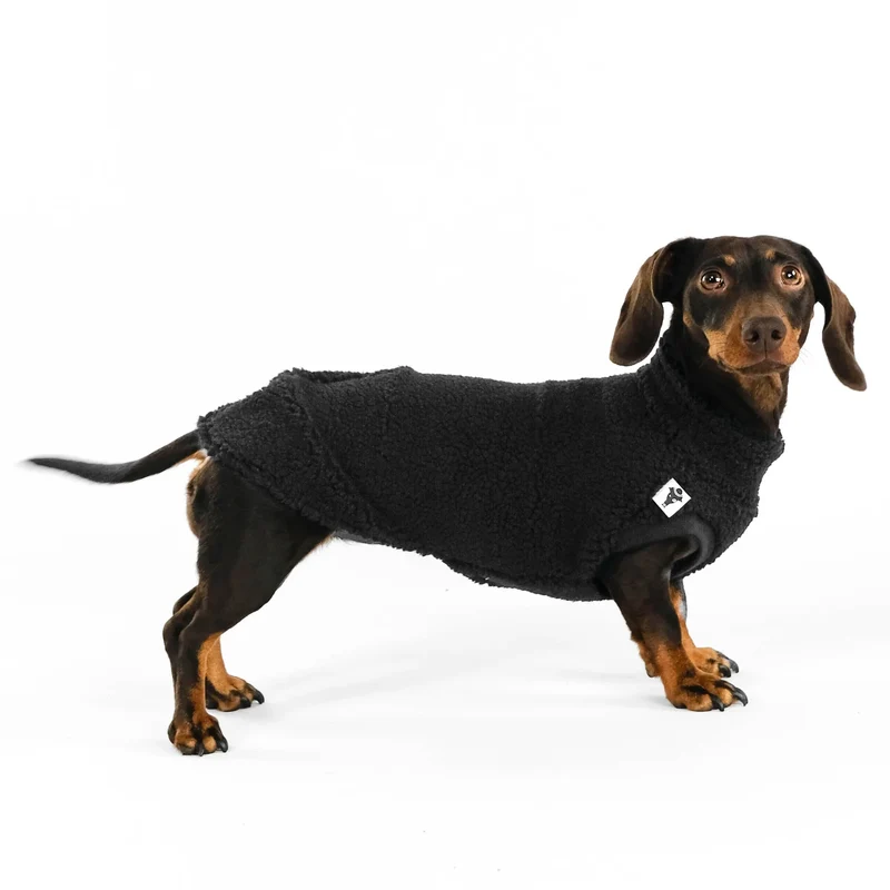 Teddy Shirt für Dackel Schwarz