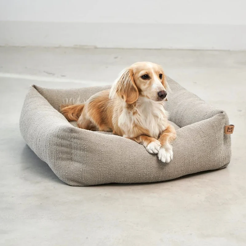 Campo Hundebett für kleine Hunde Greige