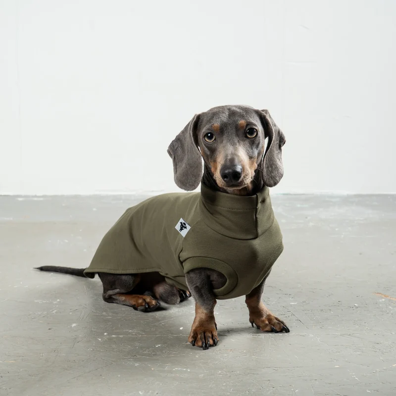 Cotton Shirt für Dackel Dark Olive