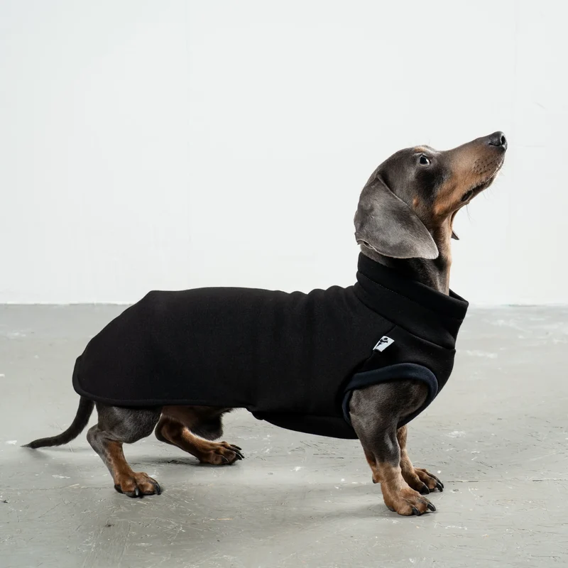 Sweat Shirt für Dackel Schwarz