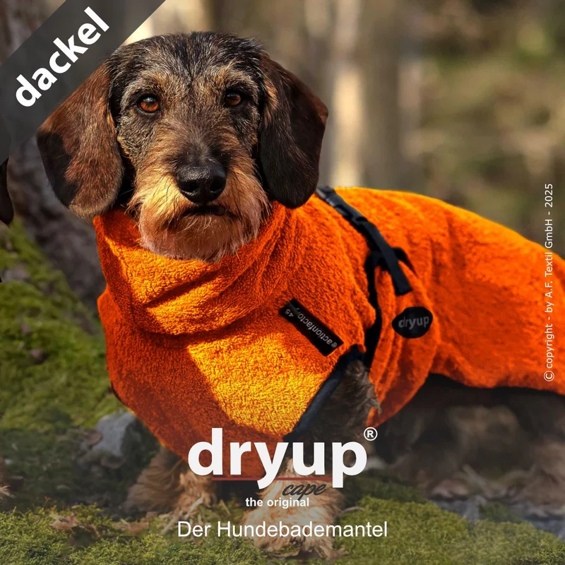 Dryup Cape Hundebademantel Dackel Clementine