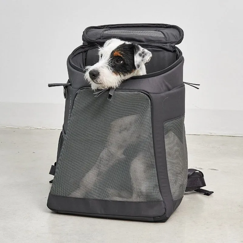 Hunderucksack Zaino
