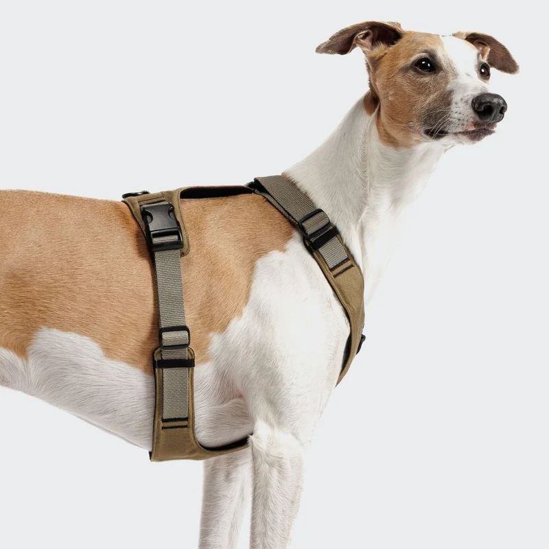 Y-2 Hundegeschirr AKTIV Cordura Khaki/Grey