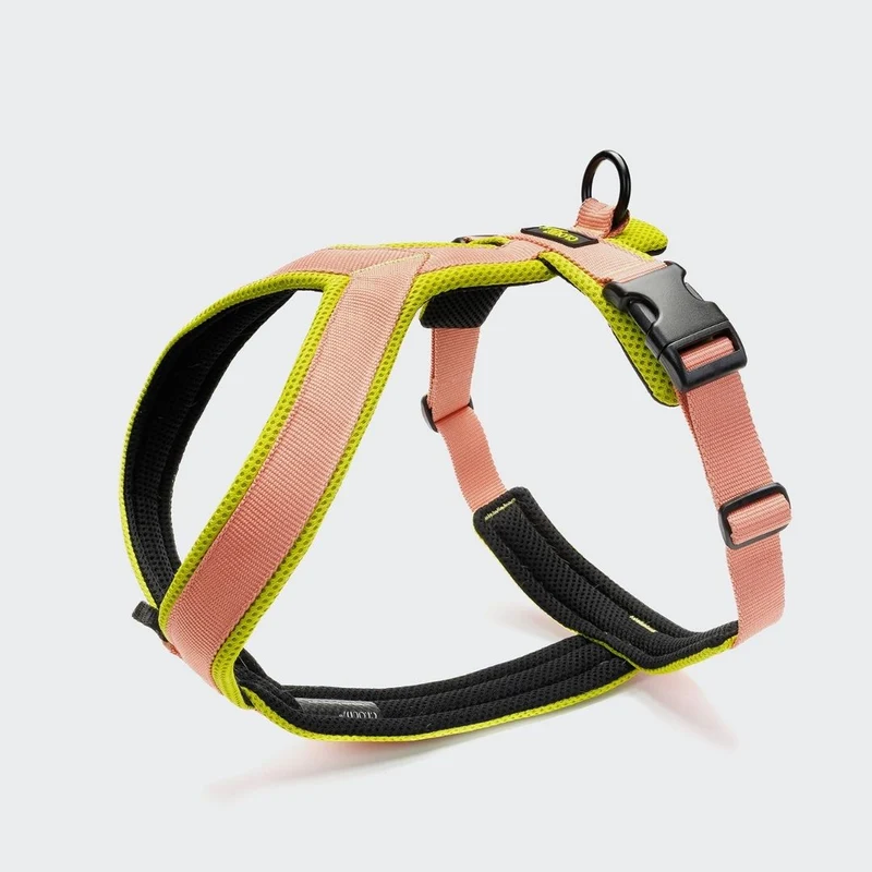 Y-1 Hundegeschirr AKTIV Air-Mesh Peach/Neon Green