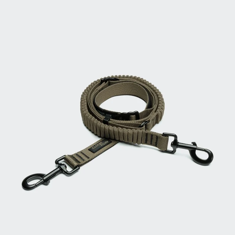 L-2 Jogging-Leine AKTIV Olive