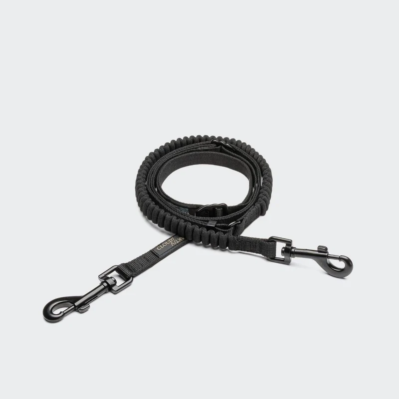 L-2 Jogging-Leine AKTIV Black