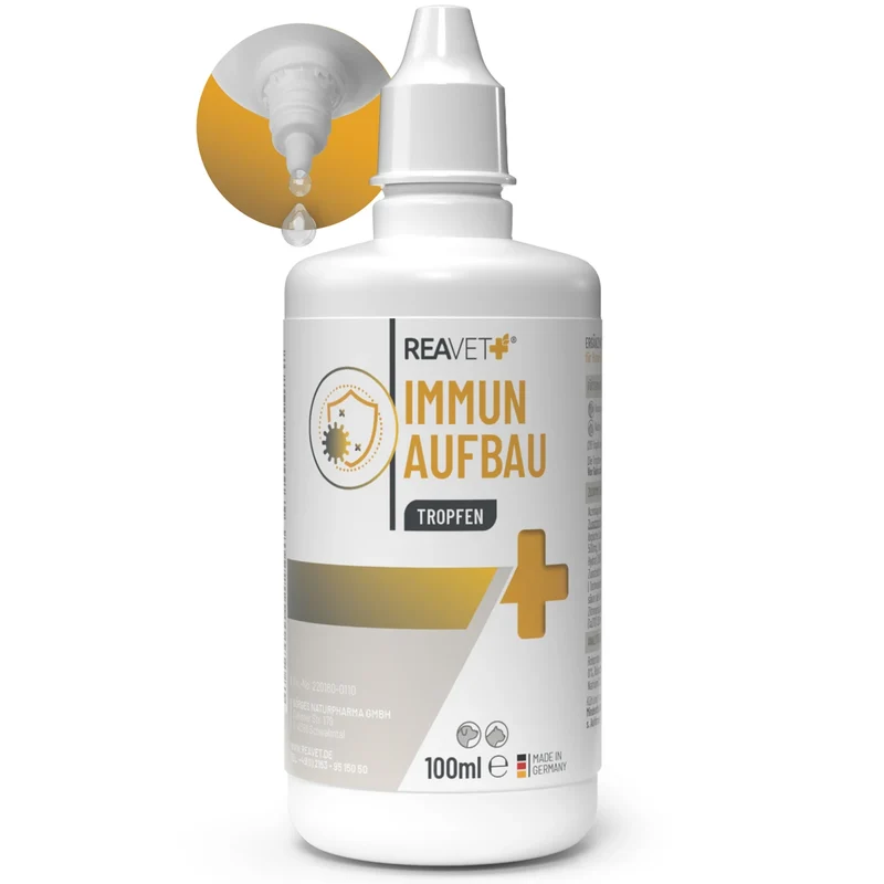 Immun Aufbau Tropfen