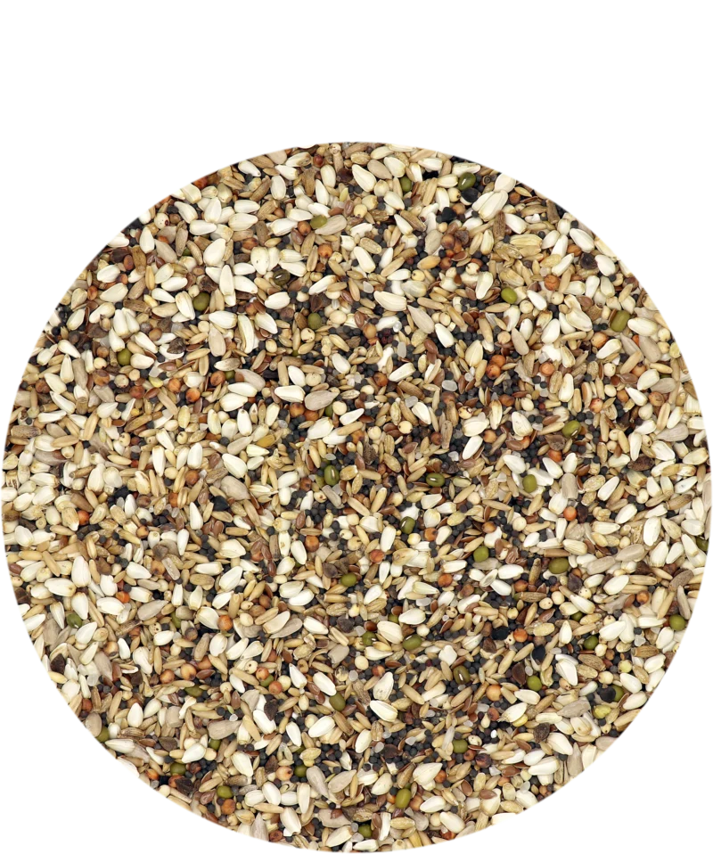 Colombine Sneaky Mixture 20kg