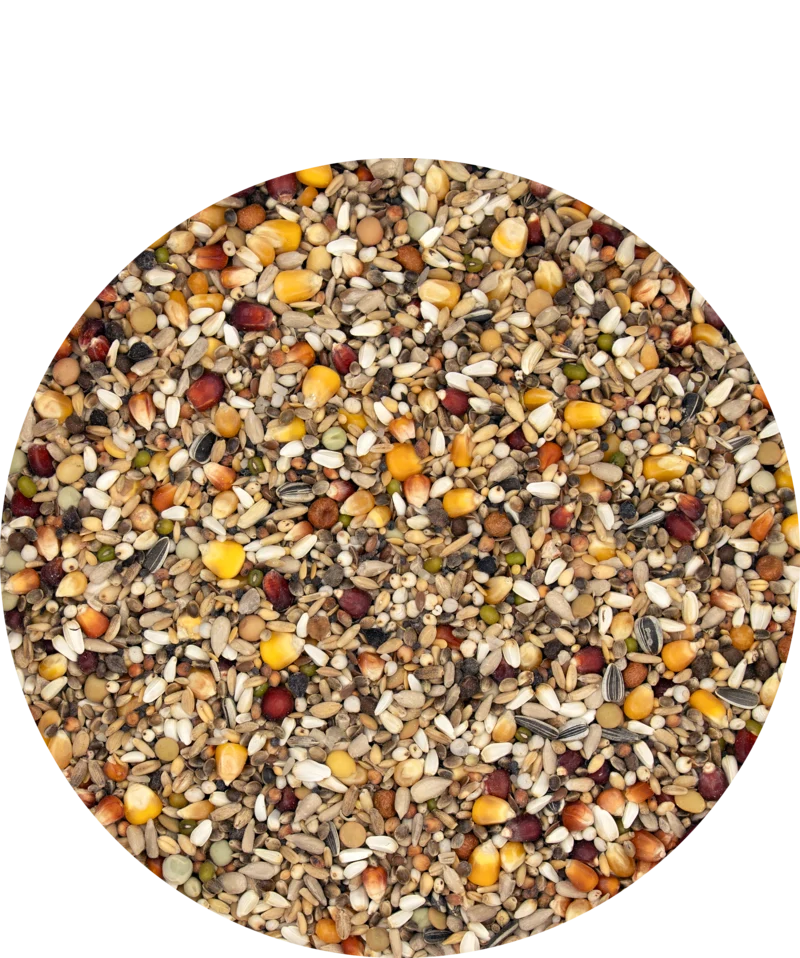 Versele-Laga Premium Racing Special Mix 20kg