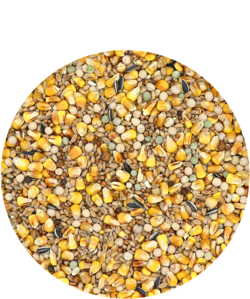Country's Best Gra-Mix Tauben Zucht Eco 20kg