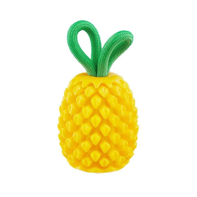 Dental Pineapple