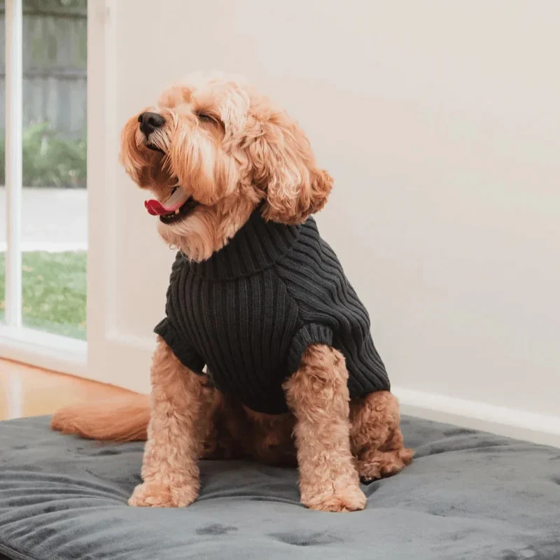 Hundepullover Slate Grey