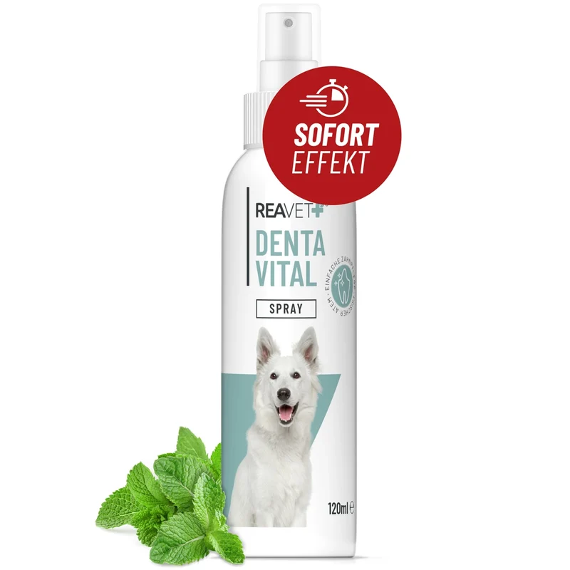 Denta Vital Spray