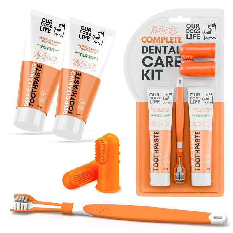 Dental Kit