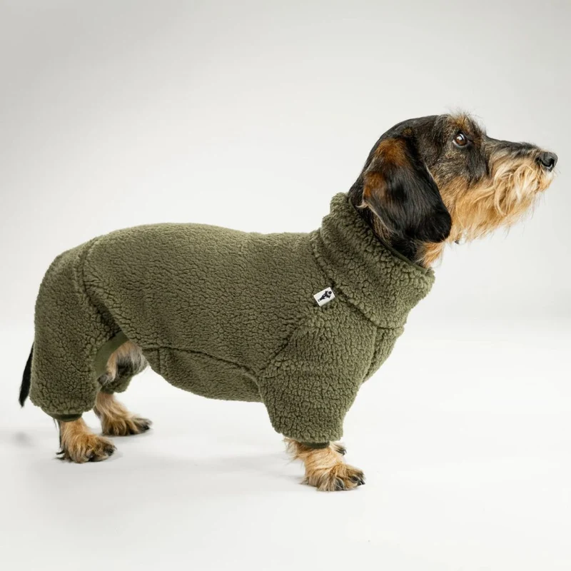 TEDDY Overall für Dackel Olivgrün