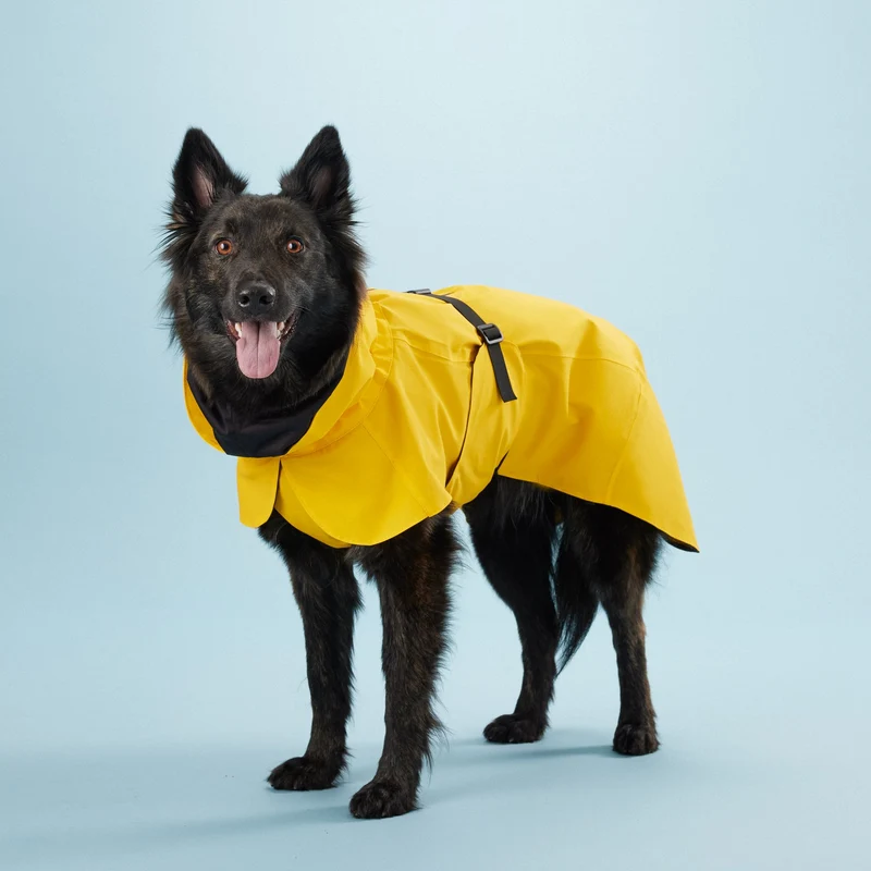 Vollreflektierender Hunderegenmantel Lite Yellow