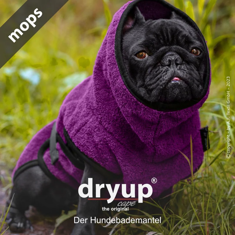 Dryup Cape Hundebademantel Mops und Bulldogge Bilberry