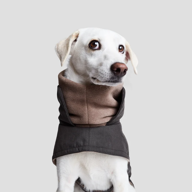 Hundemantel Brooklyn Graphit