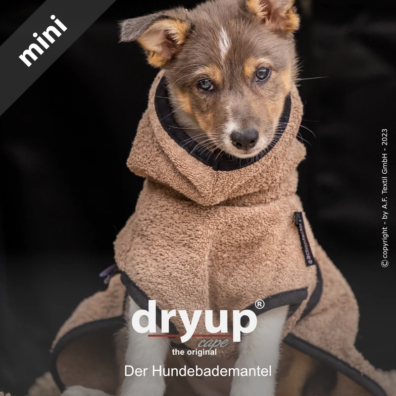 Dryup Cape Hundebademantel Mini Coffee