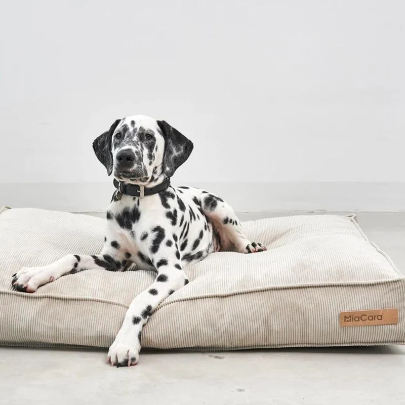 Cordo Hundekissen Greige