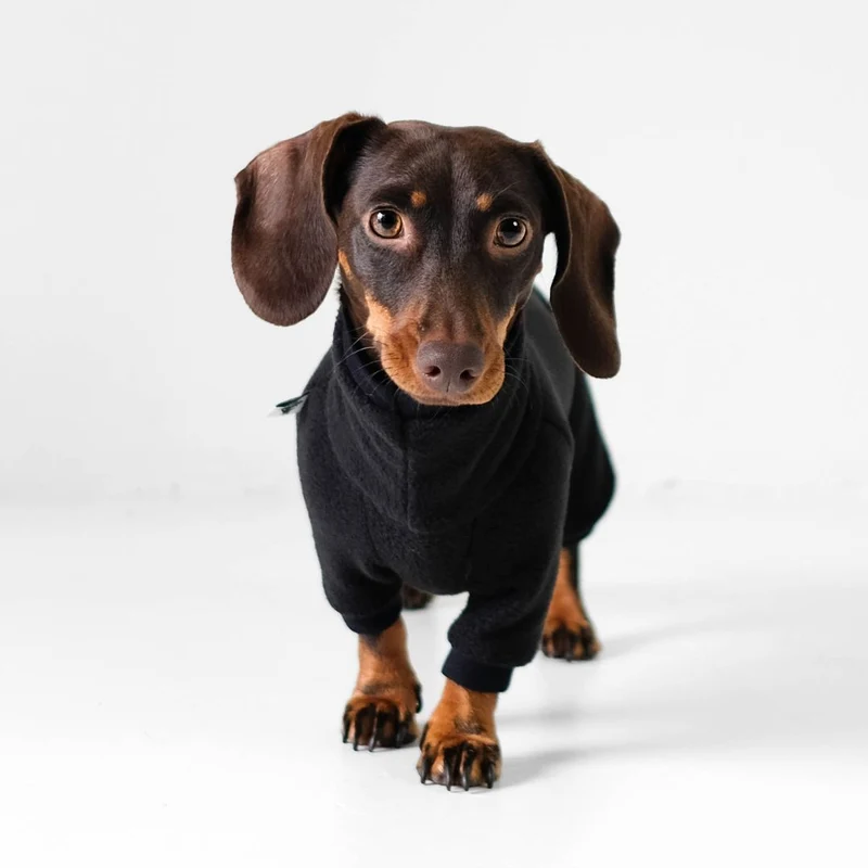 Fleece Overall für Dackel Schwarz