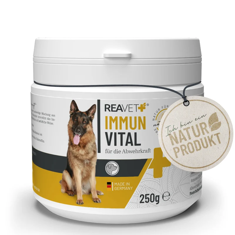 Immun Vital