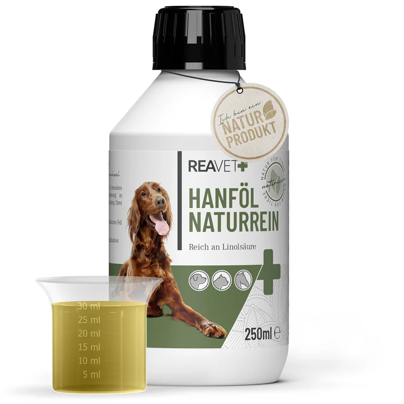 Hanföl