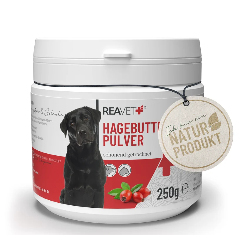 Hagebutten Pulver