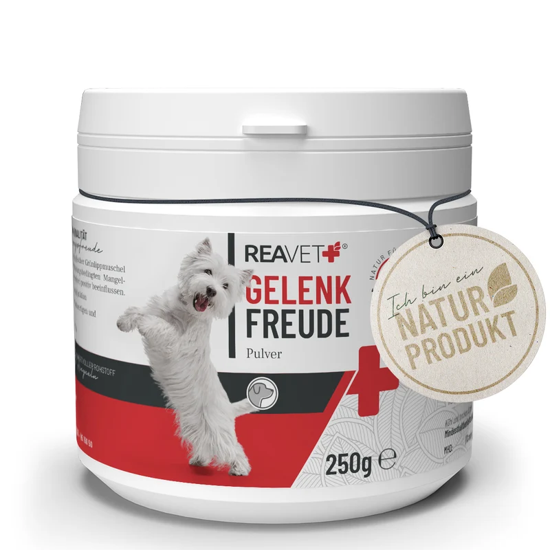 Gelenk Freude